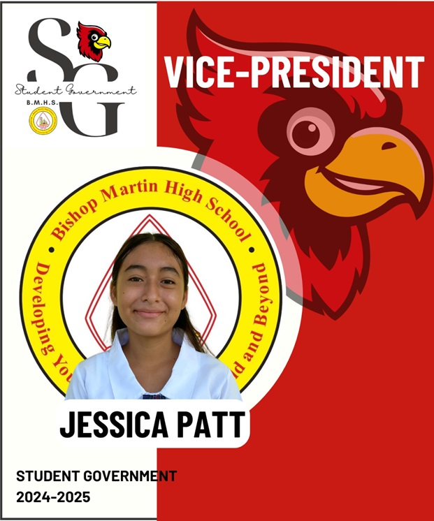 vice_president